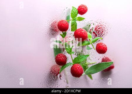 raspberries and mint with drops of water on a light background with copyspace closeup. Concept of food levitation. Stock Photo