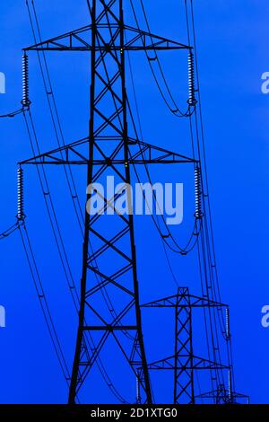 The Insulators on Pylons seem to glow in the last light of day. Stock Photo