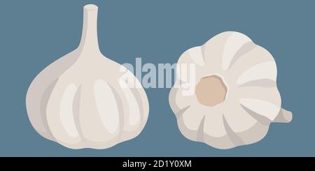 Garlic in cartoon style. Healthy Food. Stock Vector