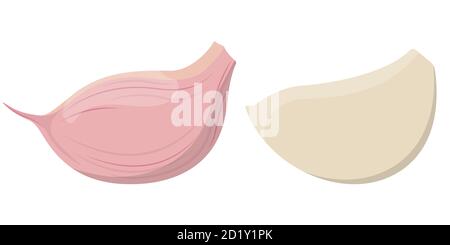 Cloves of garlic. Healthy food in cartoon style. Stock Vector