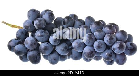 Ripe bunch of blue grapes on a white background. Stock Photo