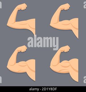 Strong arm with contracted biceps. Vector set with Isolated objects. Illustration of muscles in flat style. Gym logo. Stock Vector