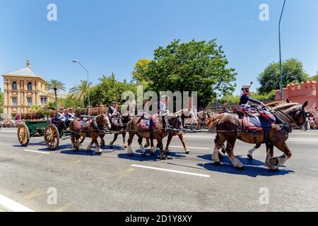 Seville, Spain - June 01, 2019: Calvary during display of Spanish Armed Forces Day in Seville, Spain Stock Photo