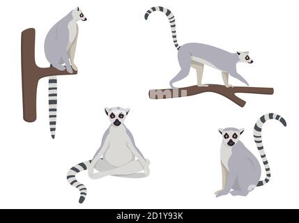 Vector set of lemurs in different poses. Flat style illustrations isolated on white background. Stock Vector