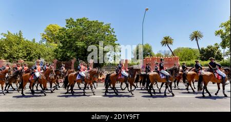 Seville, Spain - June 01, 2019: Calvary during display of Spanish Armed Forces Day in Seville, Spain Stock Photo