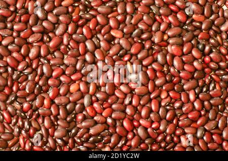 Close shot of  kidney beans  a variety of the common bean Named for its visual resemblance in shape and  colour to a human kidney. Stock Photo