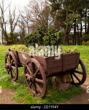 Green flowers on a wooden small decorative cart cart as an external decoration of the yard Stock Photo