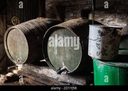 Old barrels for storing homemade Somerset cider in a dark shed Stock Photo