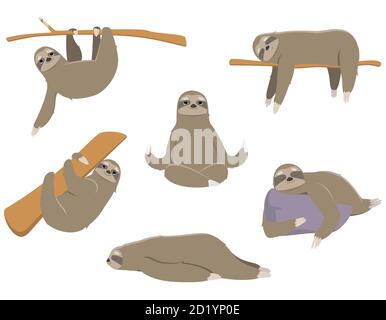 Sloths in different poses. Lazy animals in cartoon style. Stock Vector