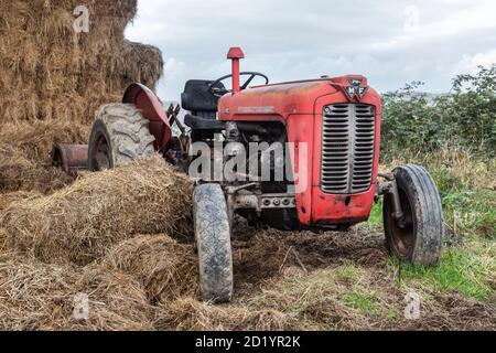 old tractor in a field on a farm in Somerset Stock Photo