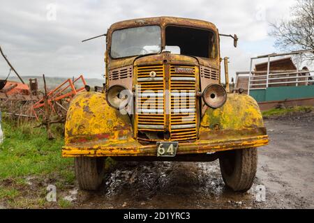 The front of an old yellow Bedford truck parked in a farm Stock Photo