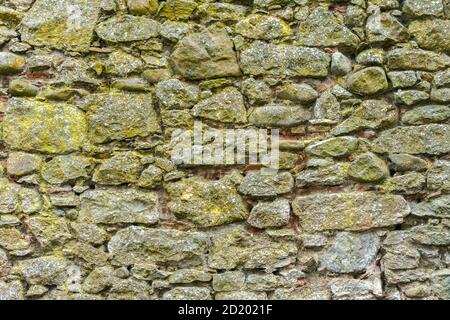 Ancient stones wall of fortress cover with moss. Close up old stones wall background. Stock Photo