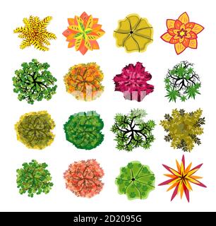 Trees top view. Easy to use in your landscape design projects Stock Vector