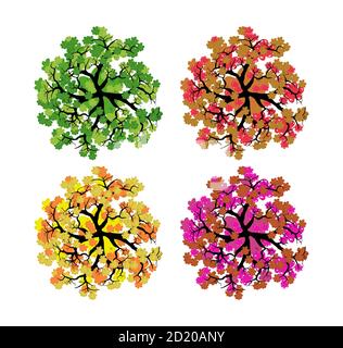 Trees top view. Easy to use in your landscape design projects Stock Vector