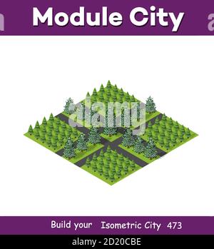 Isometric 3d park with a green tree of summer Stock Vector