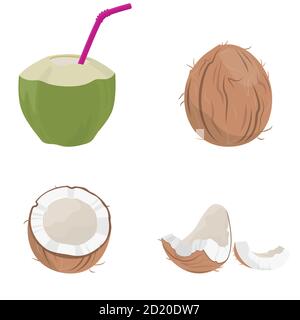 Set of coconut elements. Juicy fruit in cartoon style. Stock Vector