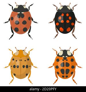 Set of ladybugs. Beetles of different colors. Stock Vector
