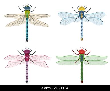 Set of dragonflies. Insects of different colors. Stock Vector