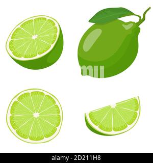 Whole and sliced lime. Vector set in cartoon style isolated on white background. Stock Vector