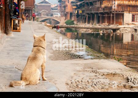 China, Zhaoxing - gorgeous Dong village is packed whit traditional wooden structures, several wind-and-rain bridges and remarkable drum towers, Guizho Stock Photo