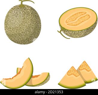 Whole and sliced melon. Vector set in cartoon style isolated on white background. Stock Vector