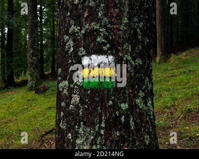 Hiking signs in a tree in the forest Stock Photo