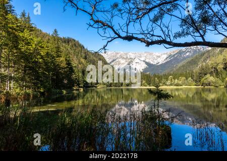mountain lake Duerrsee (Dürrsee)  near Seewiesen in Styria, Austria Stock Photo