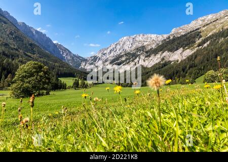 mountain range Hochschwab with peak Aflenzer Staritzen, seen from Seewiesen, Styria,Austria Stock Photo
