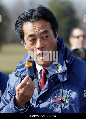 Japan's Foreign Minister Katsuya Okada eats maple taffy during the G8 foreign ministers' meeting in Gatineau, Quebec March 30, 2010.  REUTERS/Chris Wattie  (CANADA - Tags: POLITICS)