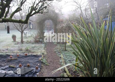 A beautiful Winter landscape frost scene of an English country garden covered in misty fog frozen icy weather white cover on pear espalier tree bushes Stock Photo