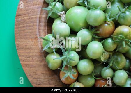 Close up tomatoes, fresh ripe juicy fruit harvested from organic garden in wood craft bowl interior shot against vibrant green contrast background