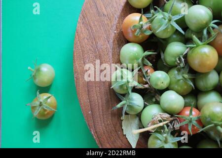 Close up tomatoes, fresh ripe juicy fruit harvested from organic garden in wood craft bowl interior shot against vibrant green contrast background
