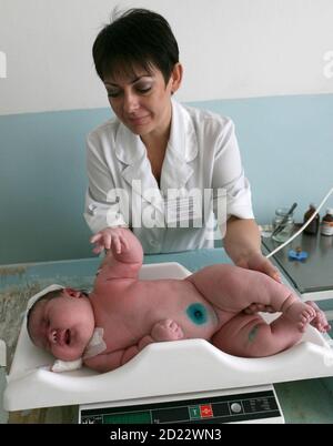 Baby girl Nadia, who weighed 7.75 kg (17.1 lbs) after birth, lies on a scale in the Siberian city of Barnaul September 26, 2007. One Siberian mother has done more than her fair share to heal Russia's dire population decline. Tatyana Khalina shocked her husband by giving birth to a 7.75 kg (17.1 lbs) baby girl this month, her 12th child.  Picture taken September 26, 2007.       REUTERS/Andrey Kasprishin (RUSSIA)