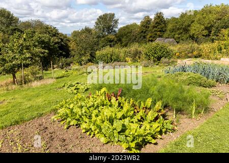 Prinknash Monastery Walled Garden in the grounds of Prinknash Abbey on the Cotswolds near Upton St Leonards, Gloucestershire UK Stock Photo