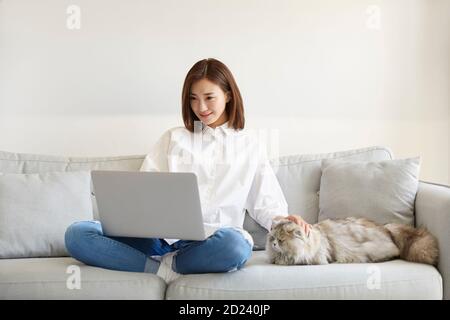 young asian businesswoman working at home using laptop computer while caressing pet cat Stock Photo