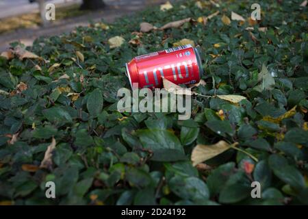 Helsinki, Uusimaa, Finland 2020 October 2, 2020 red beer can on the bushes. High quality photo Stock Photo