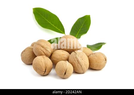 Whole walnuts heap with green walnut tree leaves isolated on white background, healthy vegan food Stock Photo