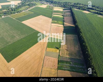 Small plots of land are sown with different crops. Agricultural land. Stock Photo