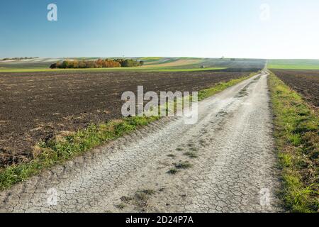 Long dirt road through fields, group of trees Stock Photo