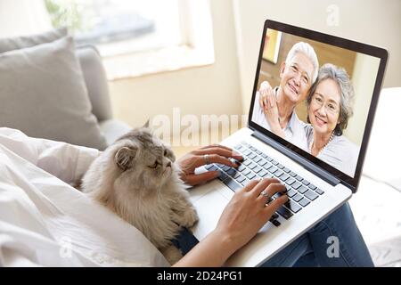 young asian adult daughter staying at home with pet cat talking to senior parents online via video chat using laptop computer