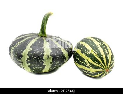 green pumpkins on white background Stock Photo
