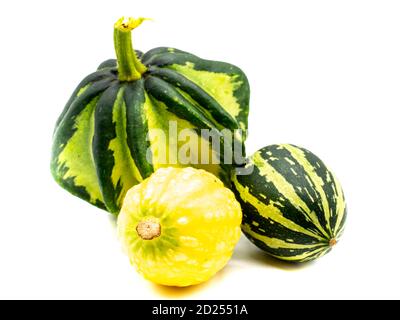 many ornamental pumpkins on white background Stock Photo
