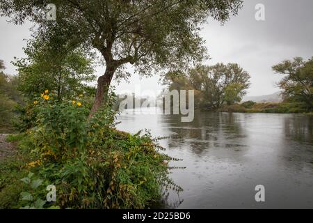 the river Ruhr near Wetter-Wengern, rainy day, Ruhr Area, North Rhine-Westphalia, Germany.  die Ruhr bei Wetter-Wengern, Regen, Ruhrgebiet, Nordrhein- Stock Photo