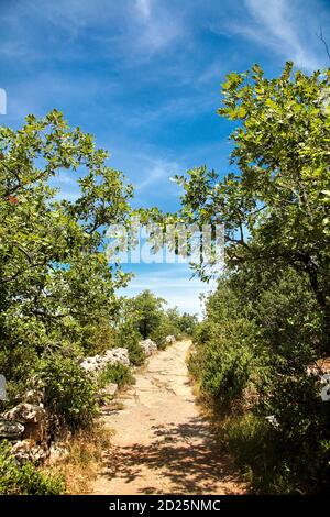 Path Between The Rocks Forest path leading between the rocks Stock Photo - Alamy