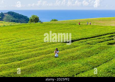 Sao Miguel, Azores island, Portugal, August 14, 2020: People at the tea plantation rows and building of Gorreana tea factory Cha Gorreana. The only, t Stock Photo