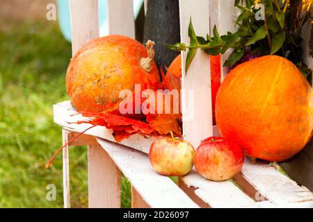 Pumpkins, apples and maple leaves lying on white wooden boxes. Autumn harvest of vegetables and fruits Stock Photo
