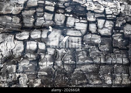 Texture of burning wood in details Stock Photo