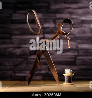 Rusty vintage pair of scissors balanced on timber flooring with black cotton reel thread needle and silver thimble against slate background Stock Photo
