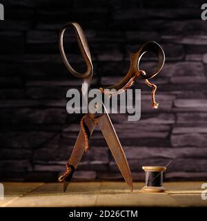 Rusty vintage pair of scissors balanced on timber flooring with black cotton reel thread needle and silver thimble against slate background Stock Photo
