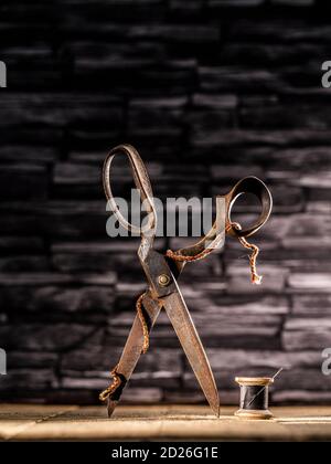 Rusty vintage pair of scissors balanced on timber flooring with black cotton reel thread needle and silver thimble against slate background Stock Photo